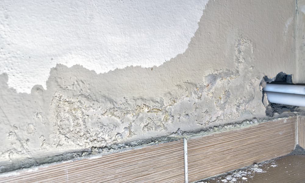 Vochtschade bij plinten